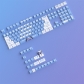 Ayanami Rei 104+21 PBT Dye-subbed Keycaps Set Cherry Profile for MX Switches Mechanical Gaming Keyboard
